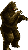 Mr. Bear