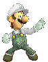 SSBB Luigi