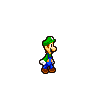 SMBZ Luigi