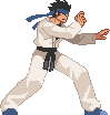 The Kung Fu Man