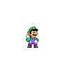 Fighting Luigi