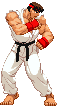 Shotokan Ryu