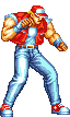 TERRY BOGARD [Super Street Fighter II Turbo/X Style]