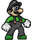 Flying Luigi