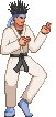 Kung Fu Man(KOF Style)