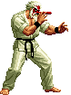 Mr. Karate