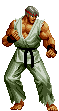 Grand Master Ryu KOFA