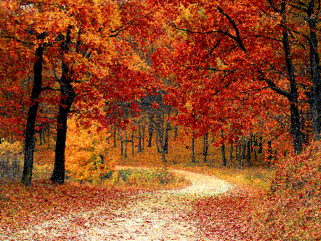 OMORI: Autumn Break - Autumn Forest