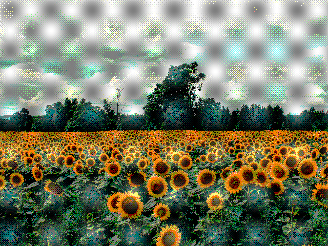 OMORI: Autumn Break - Sunflower Field (Basil's stage)