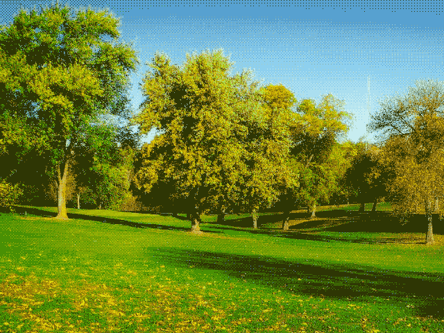 OMORI - The Park